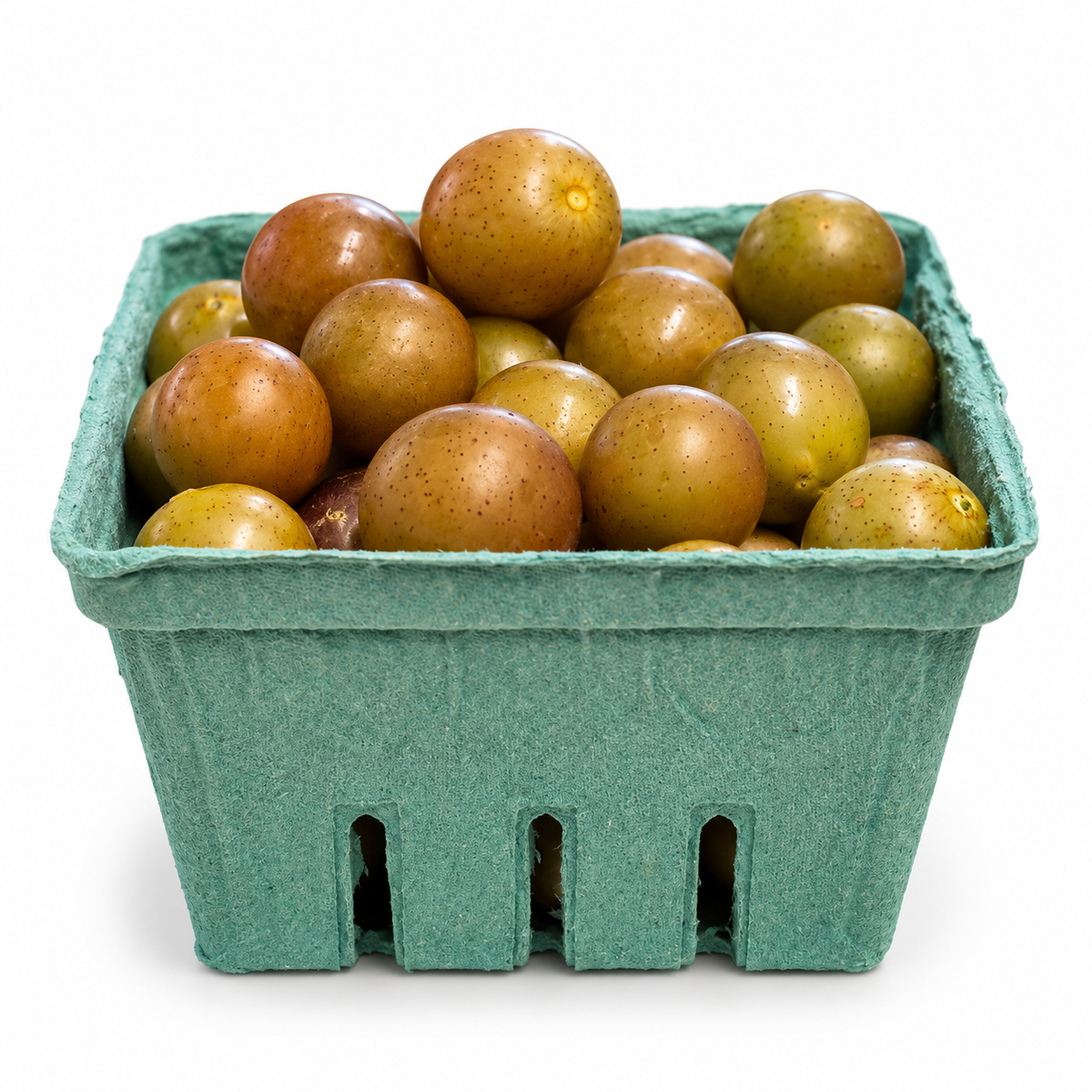 Fresh Muscadines