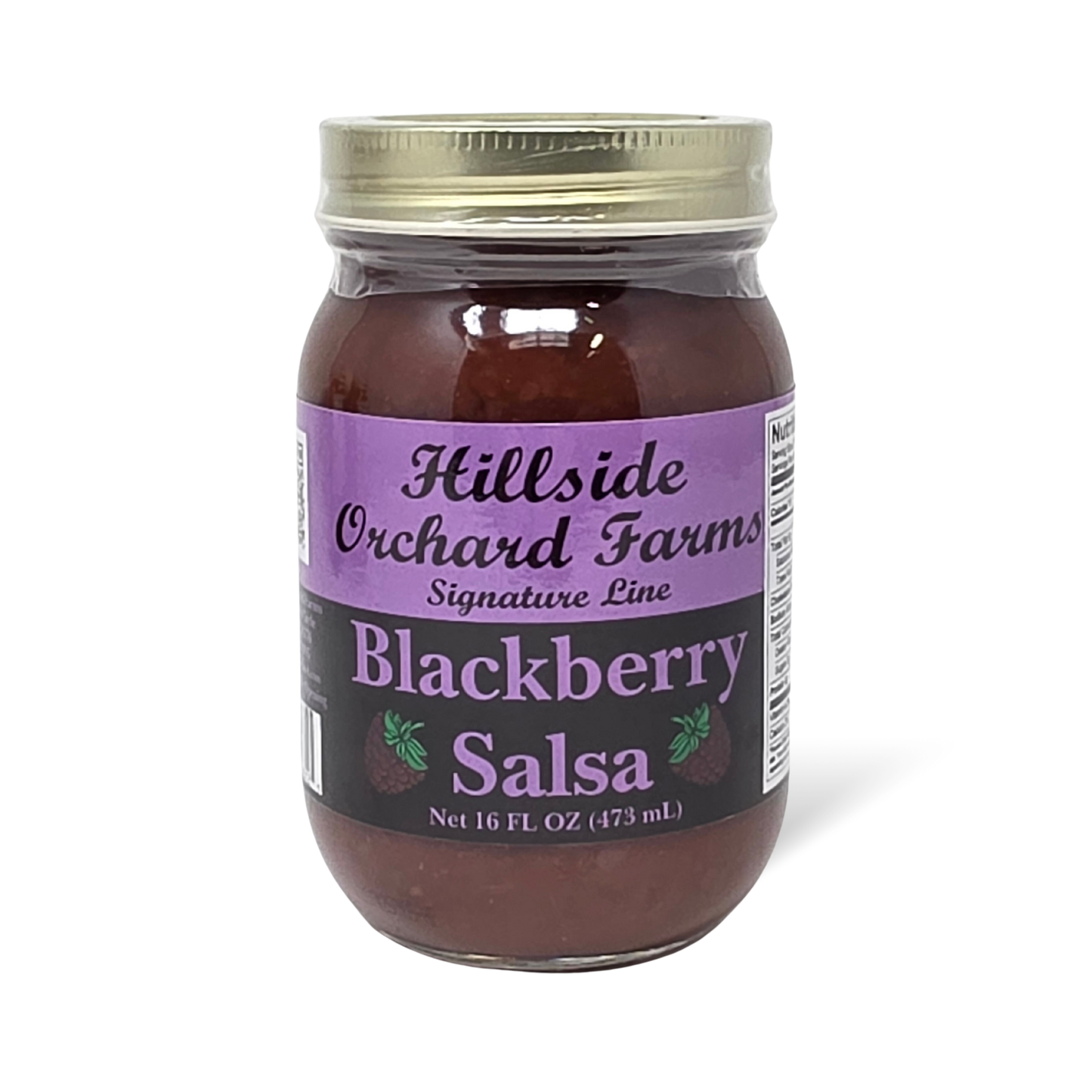 Hillside Orchard Farms Blackberry Salsa (16 fl oz)