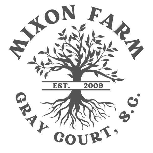 Blueberries Mixon Farm