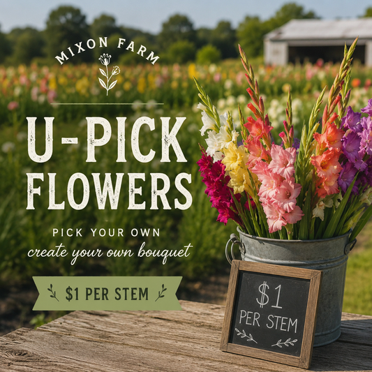 U-Pick Flower Stem
