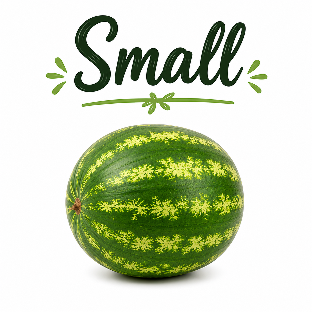 Fresh Whole Watermelon