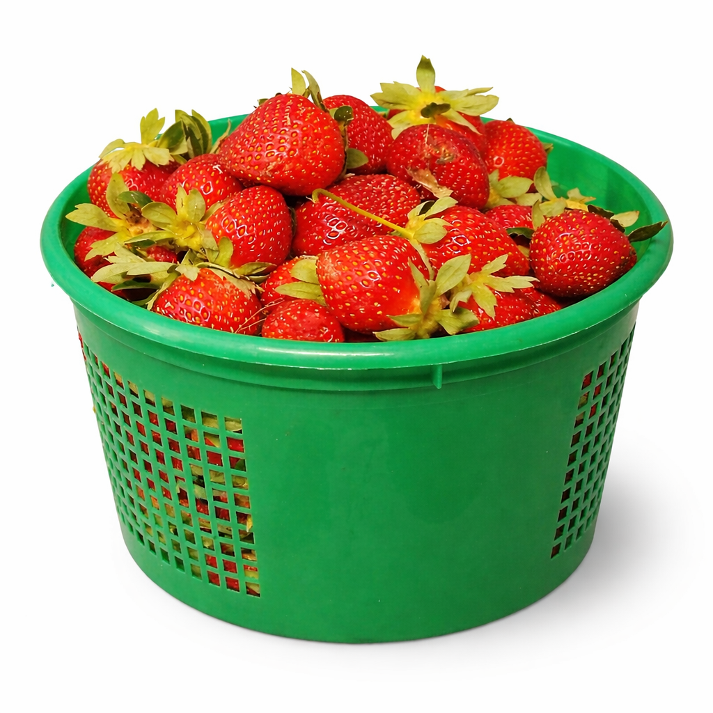 Fresh Strawberries – Mixon Farm