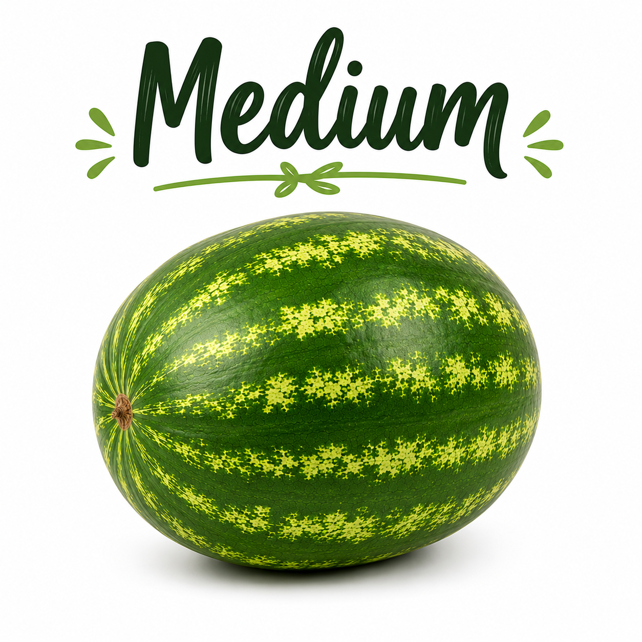 Fresh Whole Watermelon