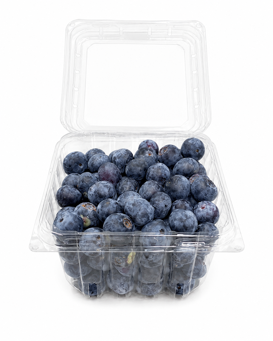 Fresh Blueberries