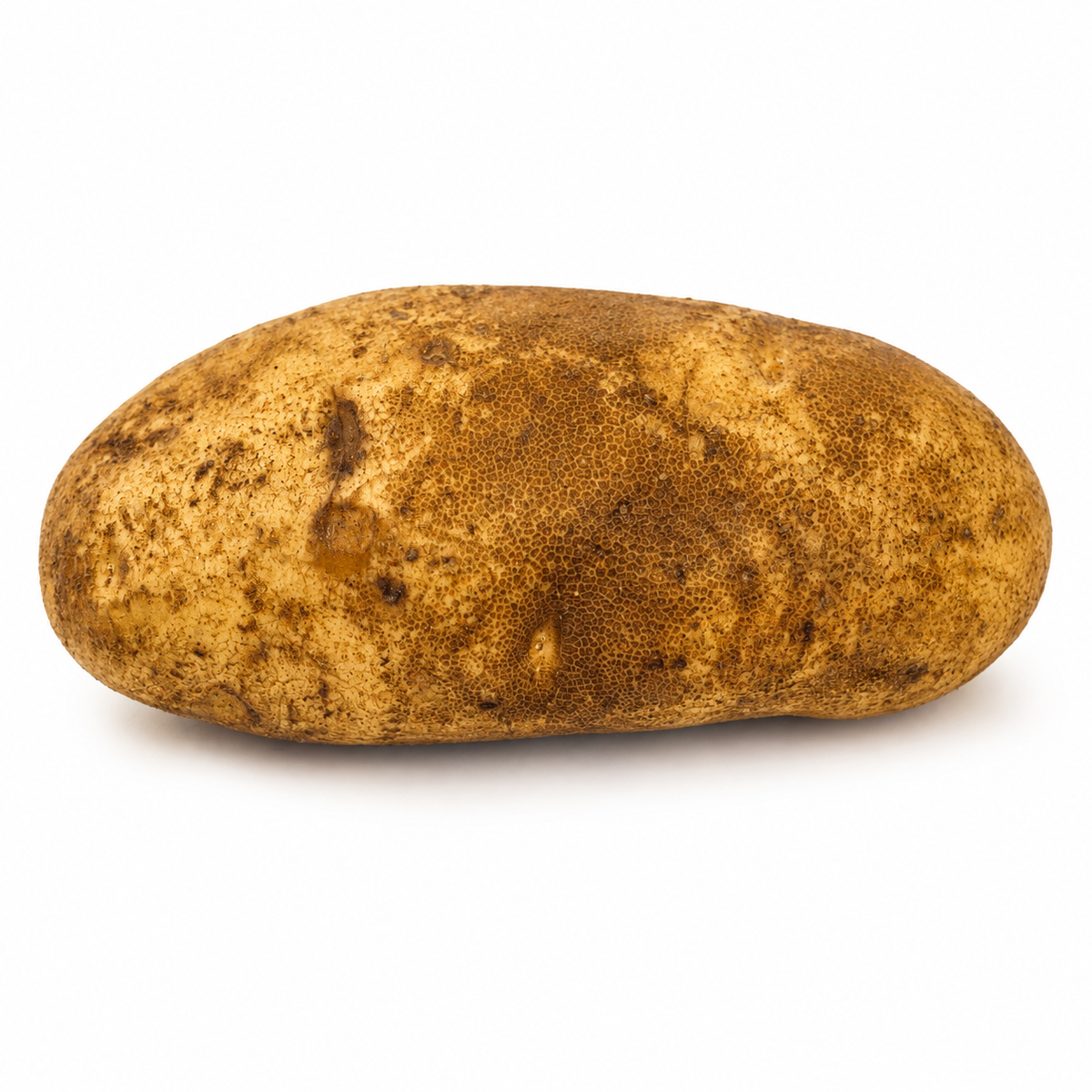 Baking Potato – Large