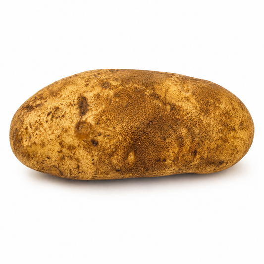 Baking Potato – Large