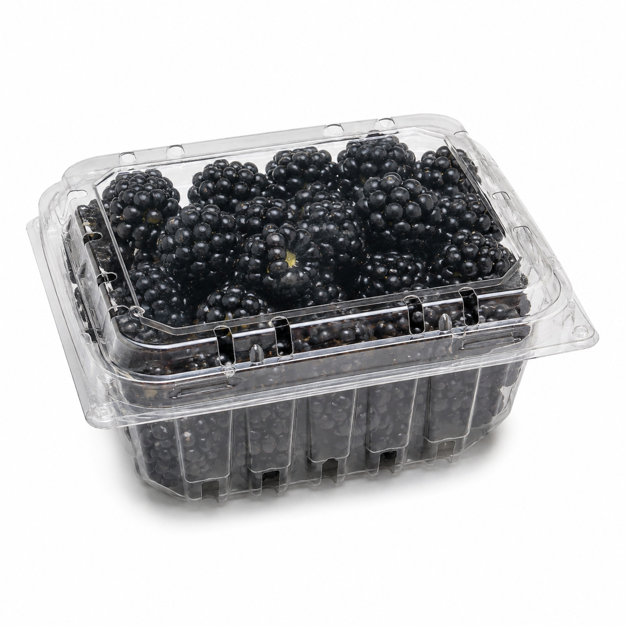 Fresh Local Blackberries