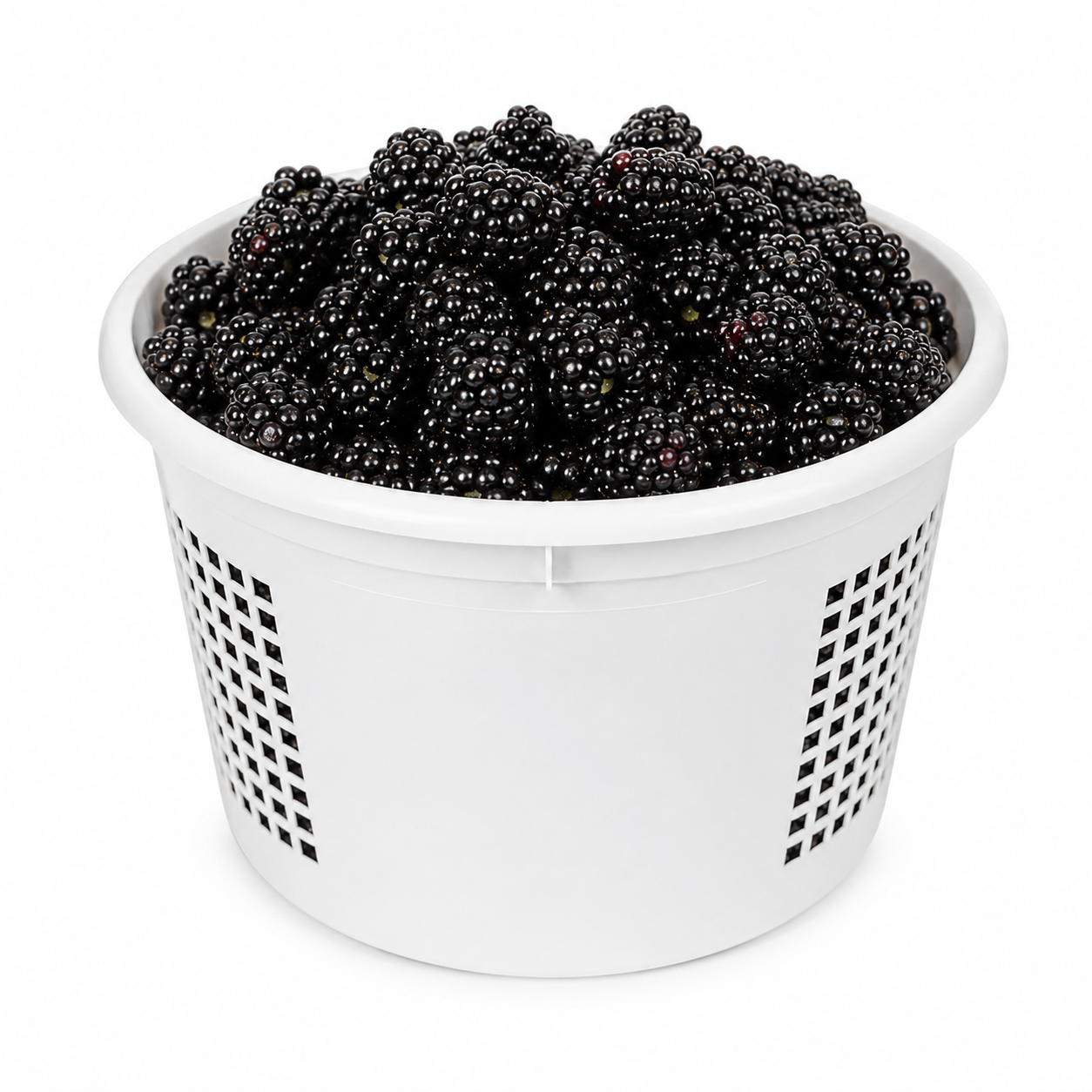 Fresh Local Blackberries