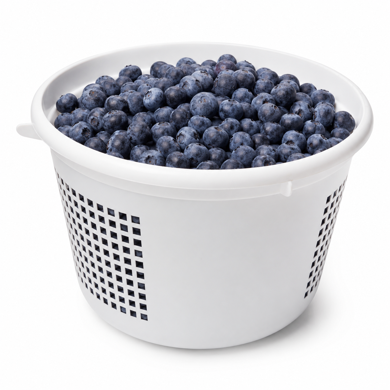 Fresh Blueberries