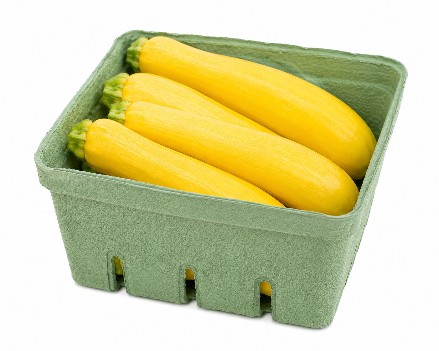 Fresh Yellow Squash Basket